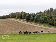 AK300921-62 - Alan King Stable Visit